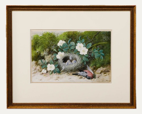 William cruikshank - cruikshank, (1848-1922)