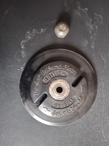 Seagull outboard engine pull - seagull,