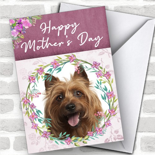 Australian terrier dog - terrier,