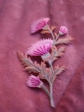 Embroidered Thistle Iron-On