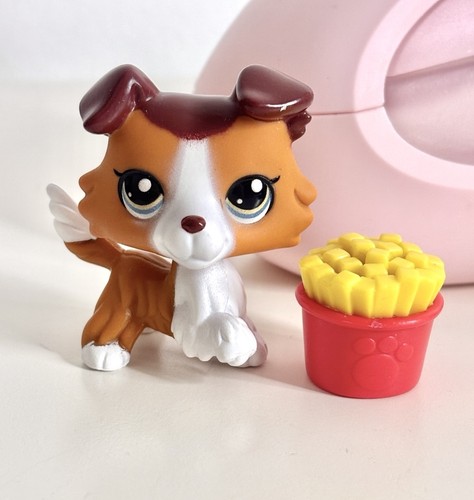 151 collie with - with, accessory