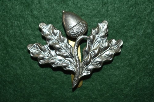 The nottinghamshire yeomanry - the,