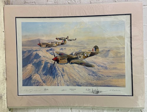 Desert hawks robert taylor - robert,