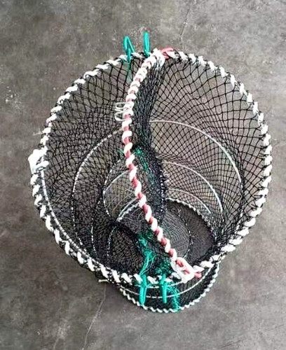 Scottish hinged top - scottish, lobster