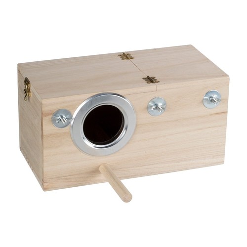 Parrot budgie lovebirds wood - budgie,