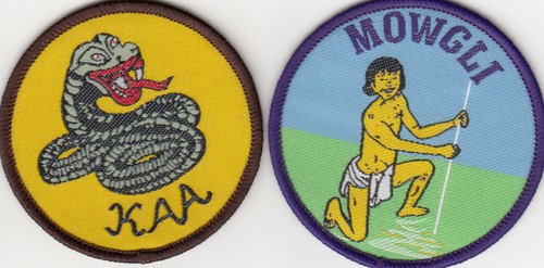 Boy scout cub leader badges - boy,
