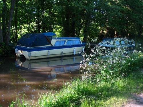 Photo 6x4 parsley the canal - 6x4,
