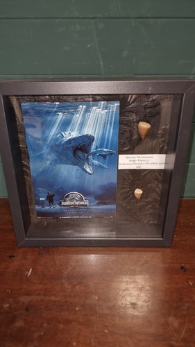 Jurassic world fossil dinosaur - jurassic,