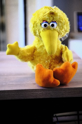 Sesame street big bird - street,
