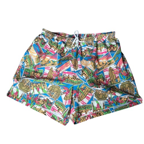 American apparel swim trucks - american,