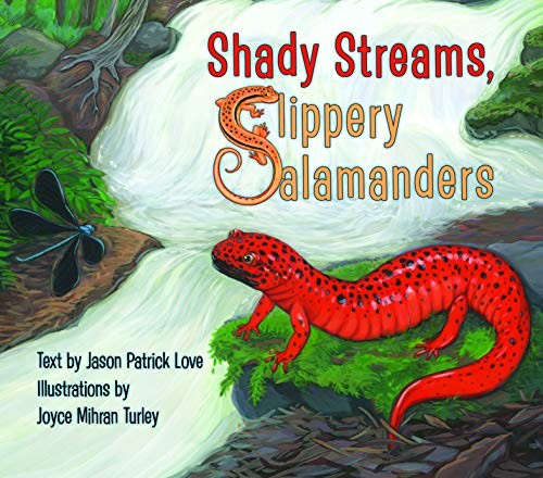 Shady streams slippery - shady, streams,