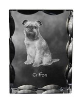 Brussels Griffon, Griffon