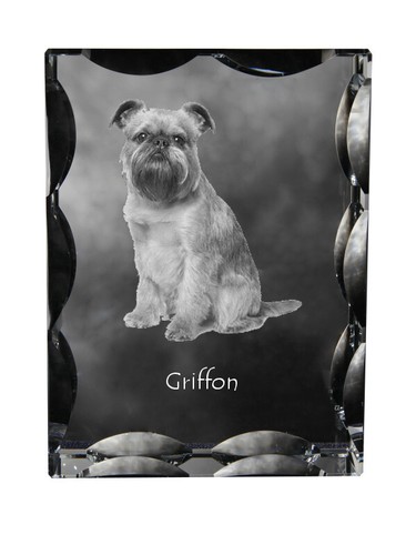 Brussels griffon - griffon,,