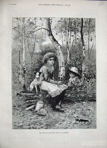 Old antique print - old,