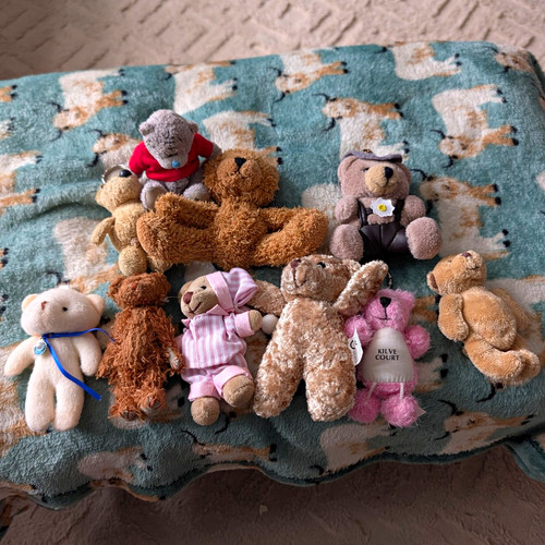 Bundle small teddy - of, bears