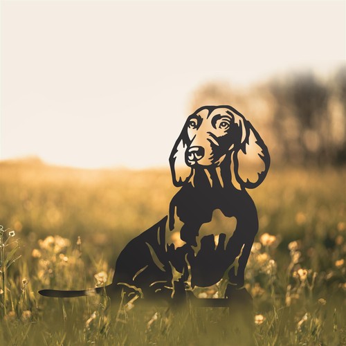 Black dachshund silhouette - black,