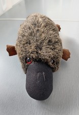 Australian Duck Billed