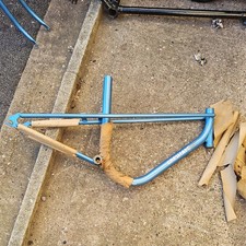 raleigh Gresham flyer girls