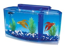 Deluxe Triple Betta Bow