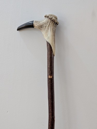Vintage birch walking - vintage, stick
