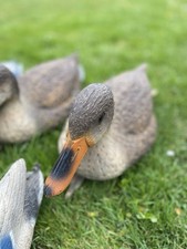 Duck Decoys Of Mixed Sizes