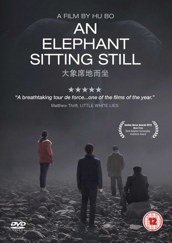 Elephant sitting still 15 - an, [15]