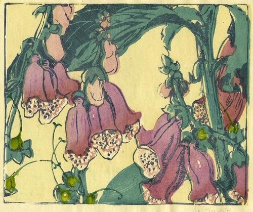 Foxgloves mabel royds 1934 - royds,