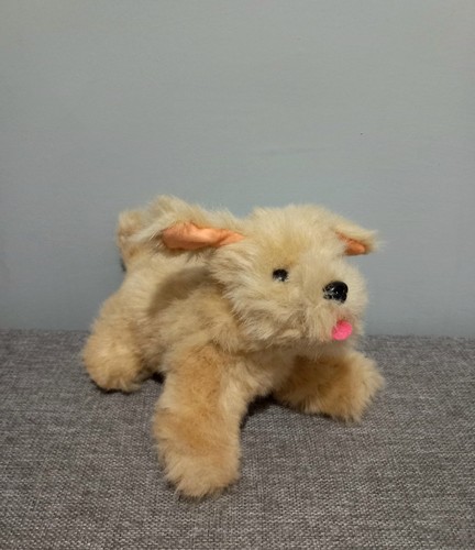 Small fluffy brown beige - fluffy,
