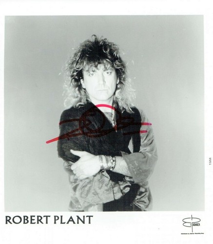 Robert plant signed - robert, photograph