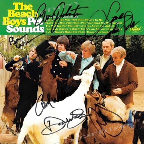 The beach boys miusic - beach,
