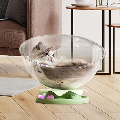 Luxury cat sleeping - luxury, pod