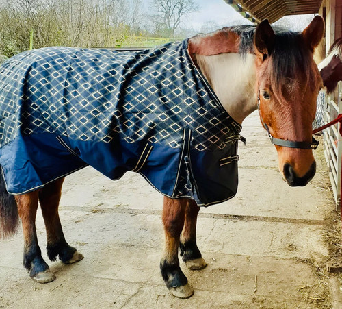 1200d lightweight turnout - 1200d, rug