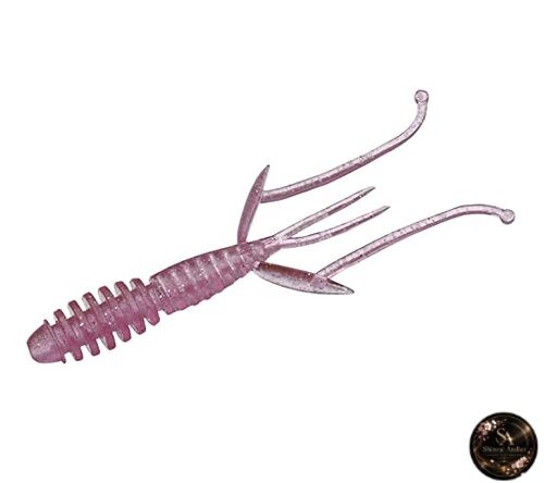 Evergreen shrimp 2020 - c-4,