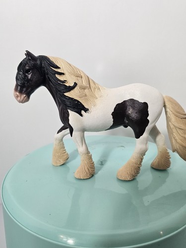 Tinker gypsy cob stallion - tinker,