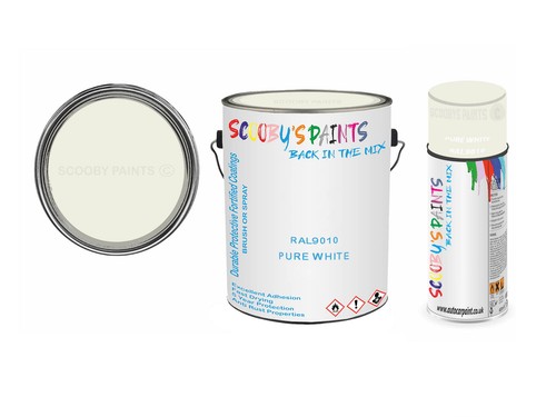 Paint for plastic - for, ral9010