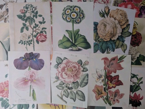 Vintage floral art - floral, prints