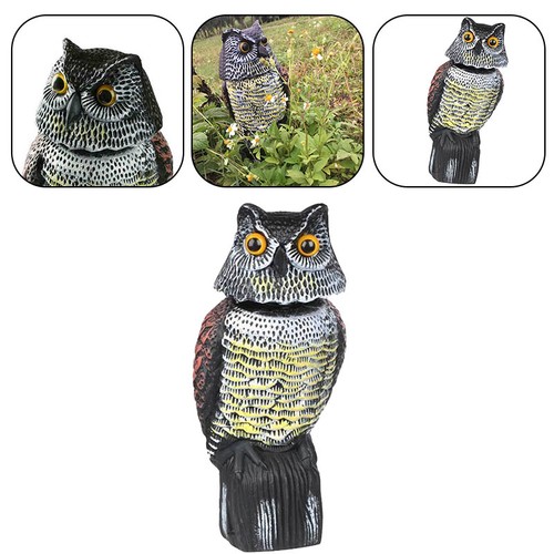 Realistic owl decoy - with, bird