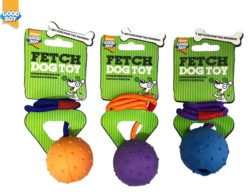 Pack good boy - pack,