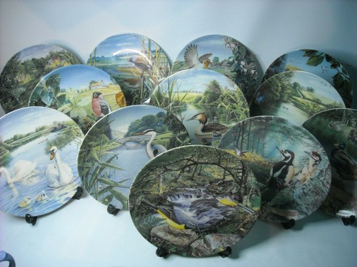 Your choice plates - choice, of