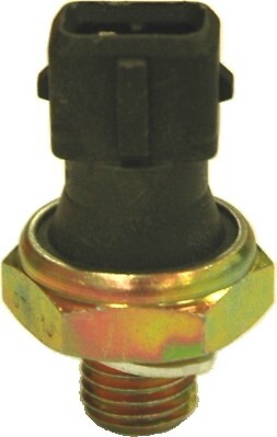 Meat doria 72023 oil - meat,