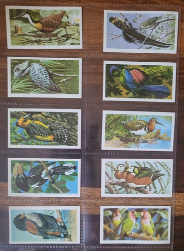 Brooke bond tea cards - bond,