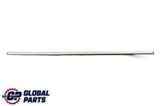 Mini Countryman R60 Door