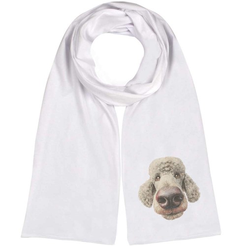 Funny poodle dog - dog, portrait'