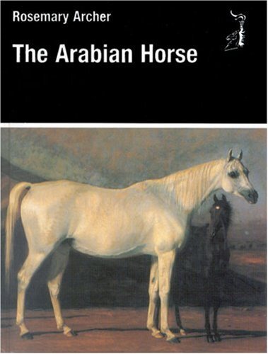 The arabian horse - arabian,