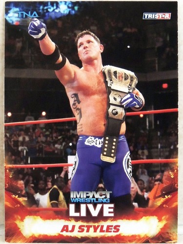 Tna styles 2013 - tna,