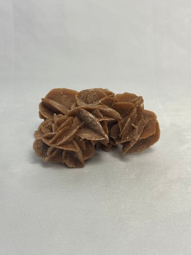 Delicate desert rose - desert,