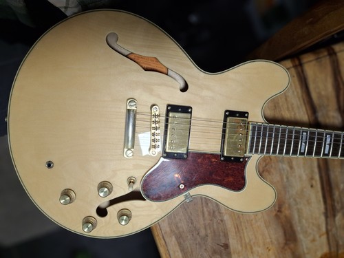 Epiphone sheraton pro - 11,