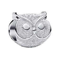 Pandora Jewelry Silver Charm