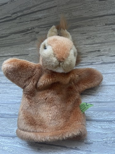 Living nature squirrel hand - living,
