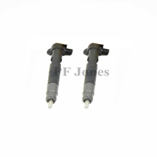 Reman delphi injector pfjdi296 - injector,